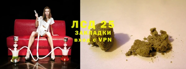 PSILOCYBIN Ладушкин