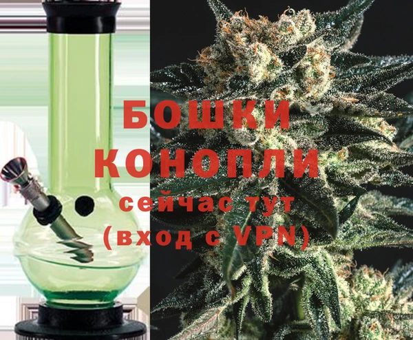 PSILOCYBIN Ладушкин
