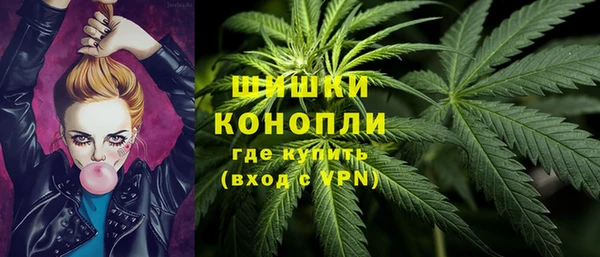 PSILOCYBIN Ладушкин