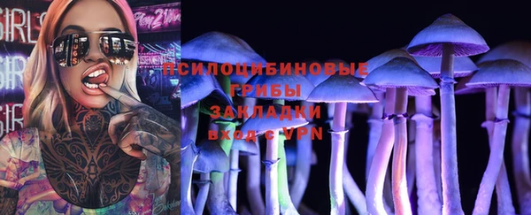 дурь Лабытнанги