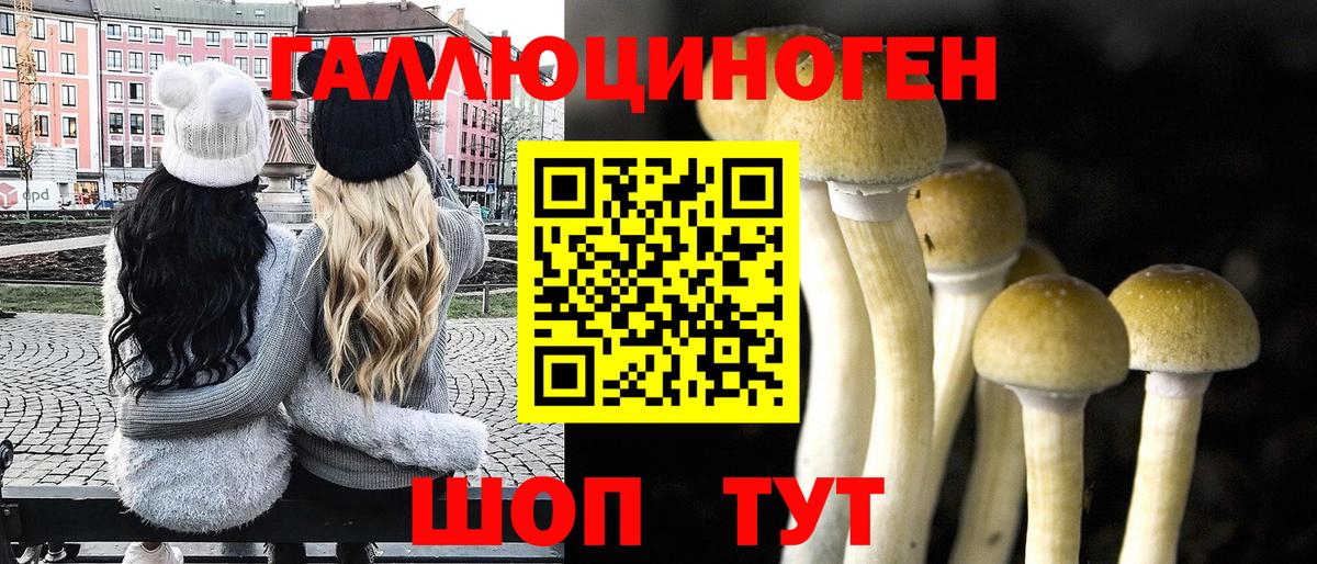Галлюциногенные грибы прущие грибы  Брянск  Псилоцибиновые грибы ЛСД 
