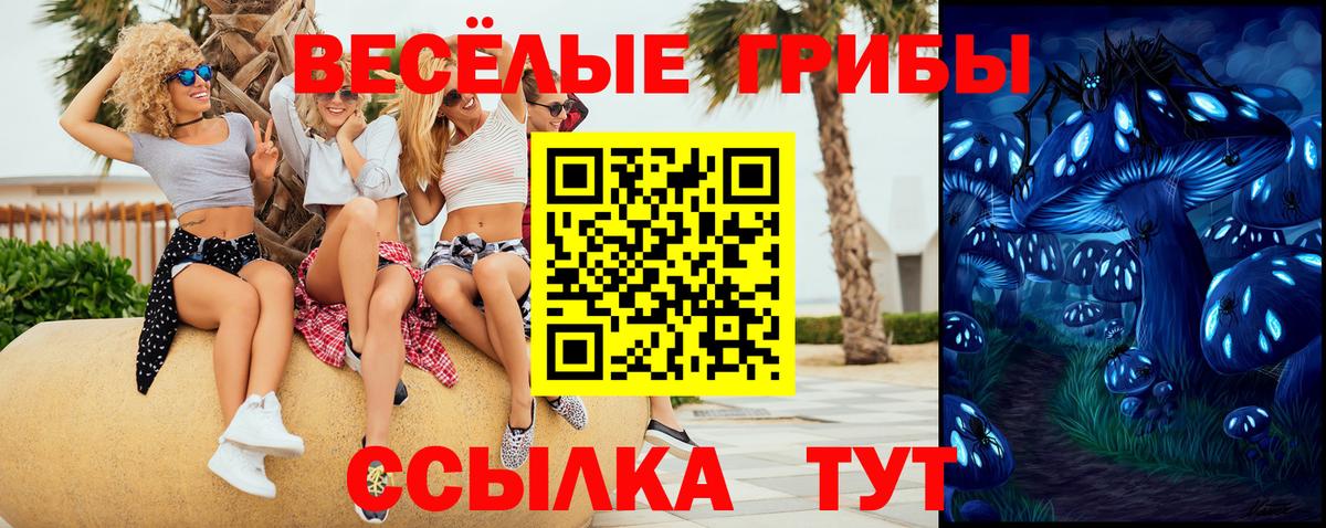 Галлюциногенные грибы Psilocybe  Вход с VPN  продажа наркотиков  Брянск 