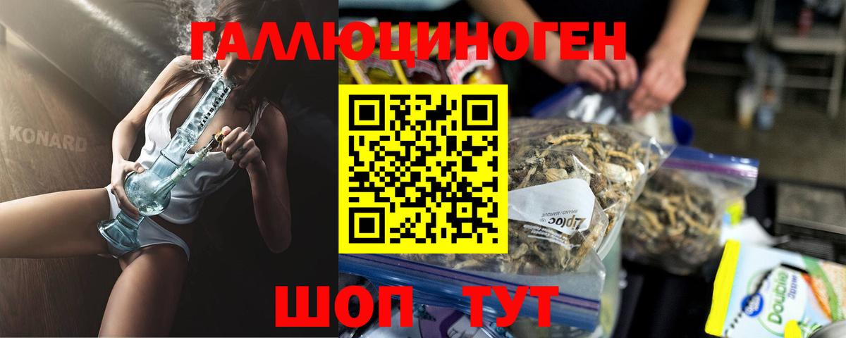 Галлюциногенные грибы Psilocybe Брянск